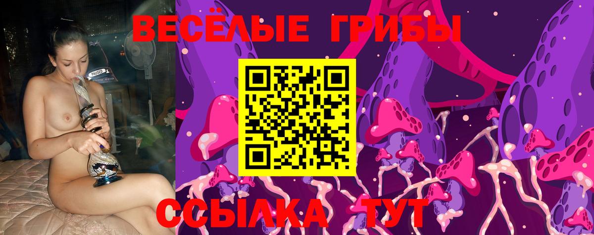 Артём  Псилоцибиновые грибы мухоморы  Вход с VPN 