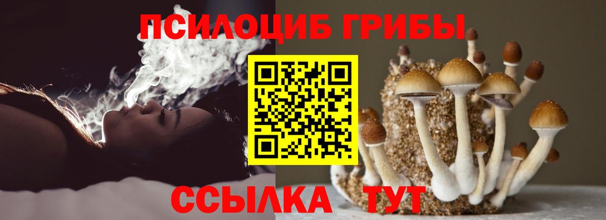 Галлюциногенные грибы GOLDEN TEACHER Артём